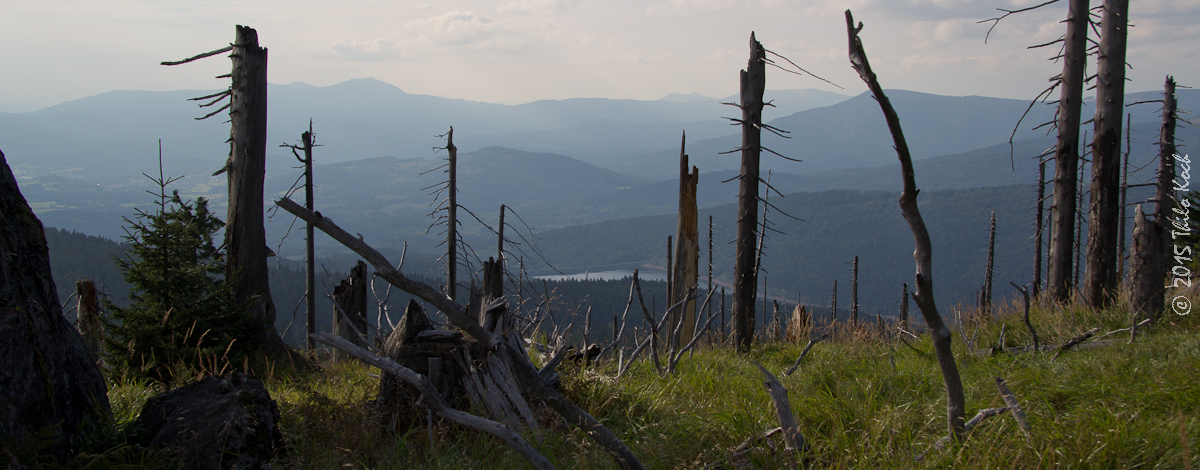 Bayerischer Wald 2015